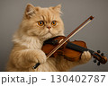 バイオリンを演奏するネコ（ペルシャ猫） 130402787