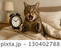 朝寝坊に慌てる猫　遅刻ピンチ　目覚まし時計 130402788