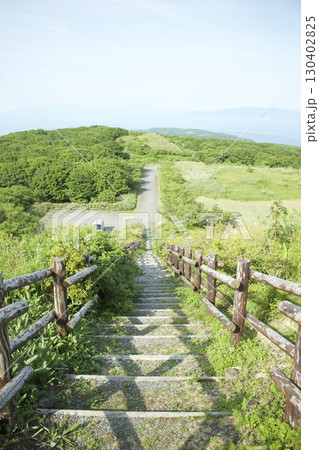 森の中に続く木製の階段と緑の景色 130402825