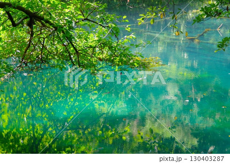 山形県遊佐町にある丸池様 130403287