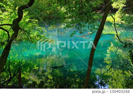 山形県遊佐町にある丸池様 130403288