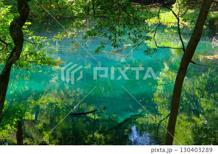 山形県遊佐町にある丸池様 山形県遊佐町にある丸池様 130403289