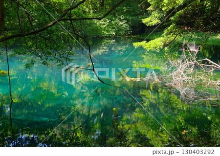 山形県遊佐町にある丸池様 130403292