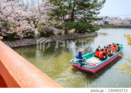 九華公園の桜・桑名城お堀めぐり《三重県 桑名市》 130403713