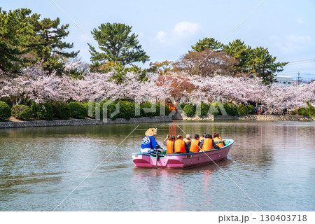 九華公園の桜・桑名城お堀めぐり《三重県 桑名市》 九華公園の桜・桑名城お堀めぐり《三重県 桑名市》 130403718