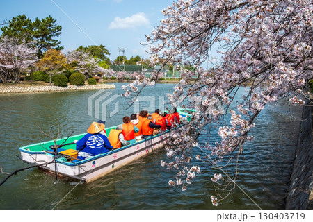九華公園の桜・桑名城お堀めぐり《三重県 桑名市》 130403719