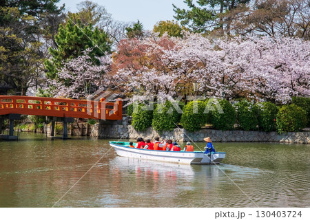 九華公園の桜・桑名城お堀めぐり《三重県 桑名市》 九華公園の桜・桑名城お堀めぐり《三重県 桑名市》 130403724
