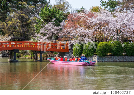 九華公園の桜・桑名城お堀めぐり《三重県 桑名市》 130403727