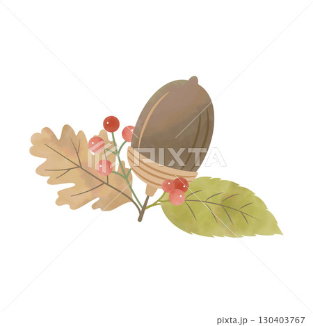 水彩風のどんぐりと葉っぱ・赤い実のイラスト（ダークブラウン） 130403767