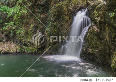 浜松市の仙厳の滝の風景(静岡県) 130403987