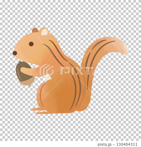 Cute squirrel and acorn illustration (watercolor style, vector) Cute squirrel and acorn illustration (watercolor style, vector) 130404311