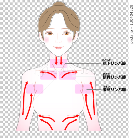 デコルテマッサージ箇所 130404329