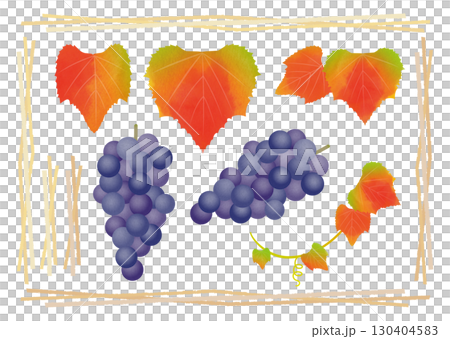 水彩葡萄插圖 130404583