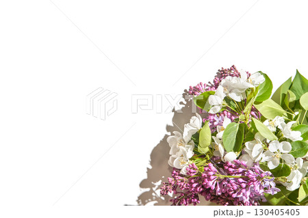 Vibrant lilac and white flowers with lush green leaves on white background 130405405