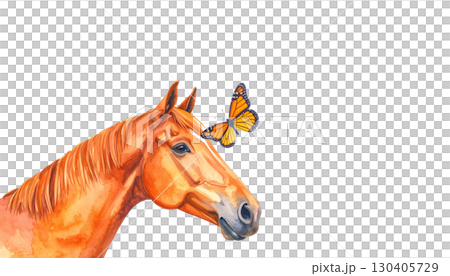 Brown horse head portrait with mane isolated on white background Brown horse head portrait with mane isolated on white background 130405729