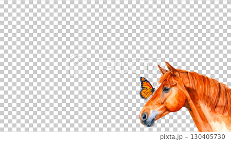 Brown horse head portrait with mane isolated on white background Brown horse head portrait with mane isolated on white background 130405730