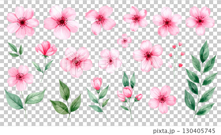 Pink floral background with blooming pink and white spring flowers. 130405745