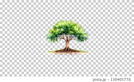Light green tree growing in soil and grass isolated on white background Light green tree growing in soil and grass isolated on white background 130405778