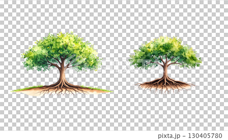 Light green tree growing in soil and grass isolated on white background 130405780