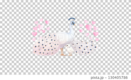 Illustration of white swan and stork with chicks isolated on white background. Illustration of white swan and stork with chicks isolated on white background. 130405786