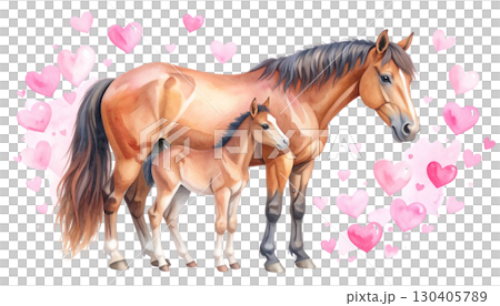 Beautiful brown horse isolated on white background. 130405789