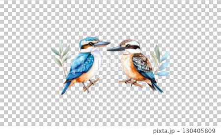 Purple roller with colorful feathers on branch isolated on white background. 130405809