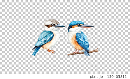 Purple roller with colorful feathers on branch isolated on white background. 130405811