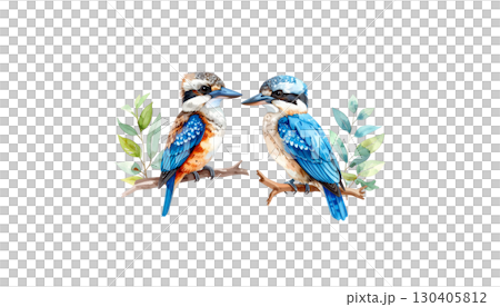 Purple roller with colorful feathers on branch isolated on white background. 130405812