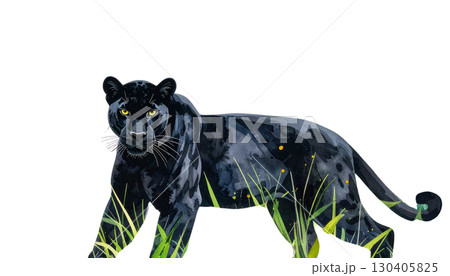 Cute black bear cub on green grass isolated on white background 130405825