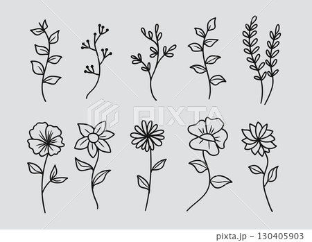 Hand-drawn flower and leaf line art collection. Vector illustration. Hand-drawn flower and leaf line art collection. Vector illustration. 130405903