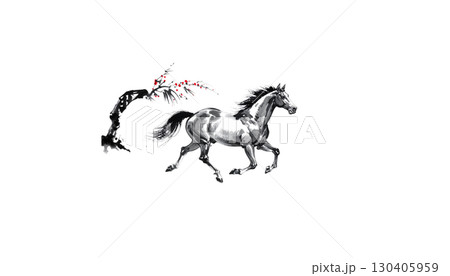 Silhouettes of two running horses in black illustration isolated on white background. 130405959