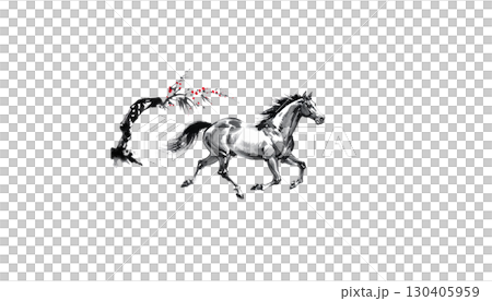 Silhouettes of two running horses in black illustration isolated on white background. 130405959