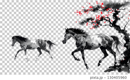 Silhouettes of two running horses in black illustration isolated on white background. 130405960