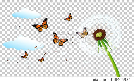 Illustration set of blooming dandelion butterflies on bright green grass field under summer sky with fluffy seeds, isolated on white background. 130405984