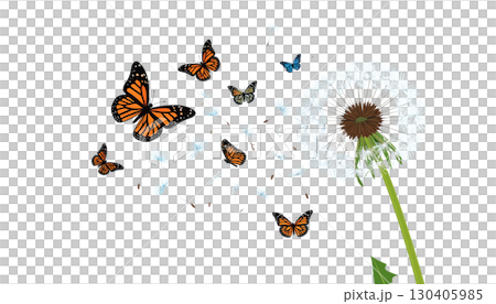 Illustration set of blooming dandelion butterflies on bright green grass field under summer sky with fluffy seeds, isolated on white background. 130405985