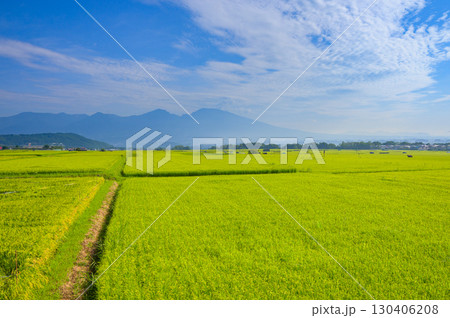 五郎兵衛新田【佐久市甲】 130406208