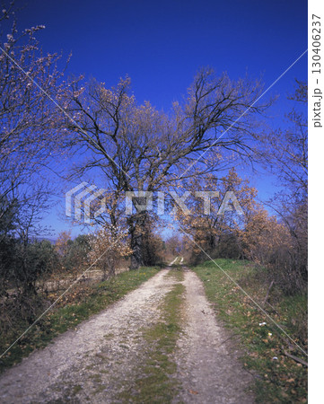 イタリアの中部丘陵地帯 葡萄畑に通じる農道と青い空 イタリアの中部丘陵地帯 葡萄畑に通じる農道と青い空 130406237