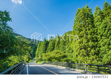 針葉樹林の間を通る国道367号線 滋賀県高島市朽木 針葉樹林の間を通る国道367号線 滋賀県高島市朽木 130407551