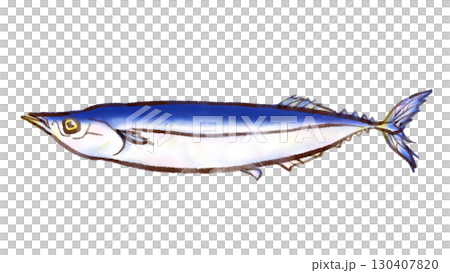 秋刀魚插圖（墨水筆水彩風格） 130407820