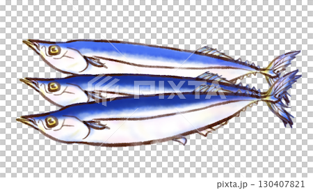 三匹並んだサンマのイラスト（墨ペン水彩風） 130407821