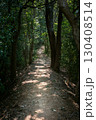 木漏れ日の差す林道 130408514