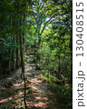 森の中のトレイル 130408515