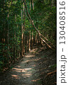 木漏れ日の中を通る登山道 130408516