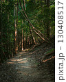 木漏れ日の中を通る登山道 130408517
