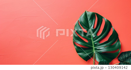 Elegant Monstera leaves overlaying each other on a soft coral hue for a simplistic and chic visual Elegant Monstera leaves overlaying each other on a soft coral hue for a simplistic and chic visual 130409142