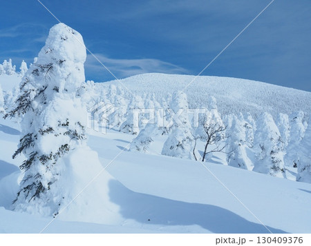 冬の吾妻連峰・西吾妻山の樹氷の森 130409376
