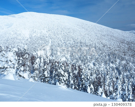 冬の吾妻連峰・西吾妻山の樹氷の森 冬の吾妻連峰・西吾妻山の樹氷の森 130409378