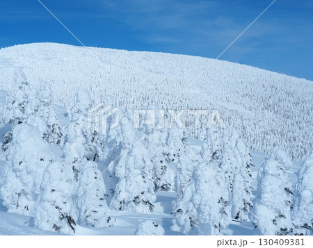 冬の吾妻連峰・西吾妻山の樹氷の森 130409381