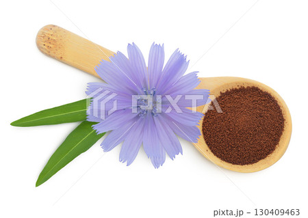 Chicory powder in wooden spoon and flower isolated on white background. Cichorium intybus. Top view. Flat lay 130409463