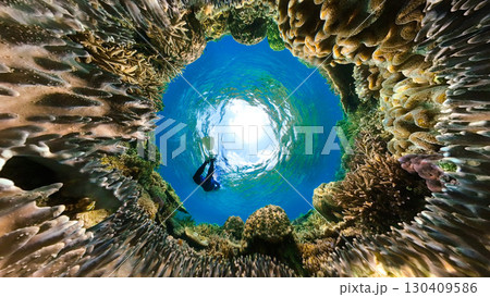 魚目線の美しいサンゴ礁 魚目線の美しいサンゴ礁 130409586